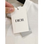 2025年4月4日入荷新作DIOR半袖 Tシャツ高級品/LD工場