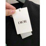 2025年4月4日入荷新作DIOR半袖 Tシャツ高級品/LD工場