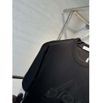 2025年4月4日入荷新作DIOR半袖 Tシャツ高級品/LD工場