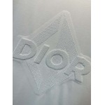 2025年4月4日入荷新作DIOR半袖 Tシャツ高級品/LD工場