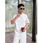 2025年4月4日入荷新作DIOR半袖 Tシャツ高級品/LD工場