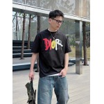 2025年4月4日入荷新作DIOR半袖 Tシャツ高級品/LD工場