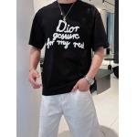 2025年4月4日入荷新作DIOR半袖 Tシャツ高級品/LD工場