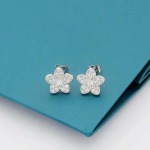 2025年4月4日入荷新品graffピアスギフト/誕生日/記念品/アクセサリーxin工場