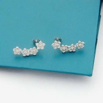 2025年4月4日入荷新品graffピアスギフト/誕生日/記念品/アクセサリーxin工場