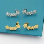 2025年4月4日入荷新品graffピアスギフト/誕生日/記念品/アクセサリーxin工場