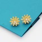 2025年4月4日入荷新品graffピアスギフト/誕生日/記念品/アクセサリーxin工場