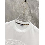 2025年4月6日入荷新作BURBERRY半袖 Tシャツ高級品/LD工場
