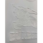 2025年4月6日入荷新作BURBERRY半袖 Tシャツ高級品/LD工場