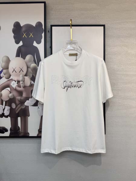 2025年4月6日入荷新作BURBERRY半袖 Tシャツ高級...