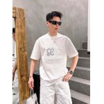 2025年4月6日入荷新作loewe半袖 Tシャツ高級品/LD工場