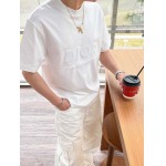 2025年4月6日入荷新作DIOR半袖 Tシャツ高級品/LD工場