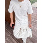 2025年4月6日入荷新作DIOR半袖 Tシャツ高級品/LD工場