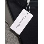 2025年4月6日入荷新作DIOR半袖 Tシャツ高級品/LD工場