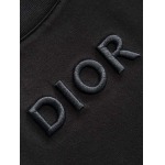 2025年4月6日入荷新作DIOR半袖 Tシャツ高級品/LD工場