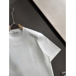 2025年4月6日入荷新作DIOR半袖 Tシャツ高級品/LD工場