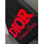 2025年4月6日入荷新作DIOR半袖 Tシャツ高級品/LD工場