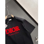 2025年4月6日入荷新作DIOR半袖 Tシャツ高級品/LD工場