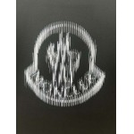 2025年4月8日入荷新作Moncler半袖 Tシャツ高級品/MP工場