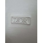2025年4月8日入荷新作DIOR半袖 Tシャツ高級品/MP工場
