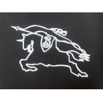 2025年4月8日入荷新作burberry半袖 Tシャツ高級品/MP工場