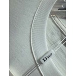 2025年4月8日入荷新作Dior半袖 Tシャツ高級品/MP工場