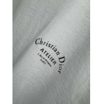2025年4月8日入荷新作Dior半袖 Tシャツ高級品/MP工場
