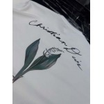 2025年4月8日入荷新作Dior半袖 Tシャツ高級品/MP工場