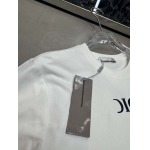2025年4月8日入荷新作Dior半袖 Tシャツ高級品/MP工場