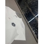 2025年4月8日入荷新作Dior半袖 Tシャツ高級品/MP工場