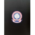 2025年4月9日入荷新作BALMAIN半袖 Tシャツ高級品/MP工場