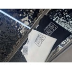 2025年4月9日入荷新作loewe半袖 Tシャツ高級品/MP工場