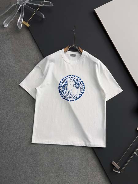 2025年4月15日入荷春夏 新作Dior半袖 tシャツ高級...