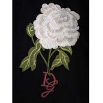 2025年4月15日入荷春夏 新作D&G半袖 tシャツ高級なプレゼント/誕生日プレゼント/高品質/メンツ/記念品/ wenzhou工場