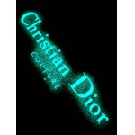 2025年4月17日入荷春夏新作 高級品原版復刻Christian Dior半袖 tシャツMOMO工場