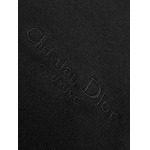 2025年4月17日入荷春夏新作 高級品原版復刻Dior半袖 tシャツMOMO工場