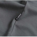 2025年4月17日入荷新作loewe 半袖Tシャツ 超厳選/入手困難/人気/busi工場