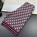 2025年4月9日入荷新作Dior半ズボン 超厳選★誕生日プレゼント/結婚祝い/内祝い/贈り物/YI+YI工場M-XXL