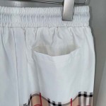 2025年4月18日入荷新作burberry半ズボン/ビーチパンツ/YI+YI工場M-3XL