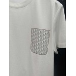 2025年4月26日入荷新作DIOR半袖Tシャツ 原版复刻高級品香港の会社超厳選★入手困難/誕生日プレゼント/yinx工場