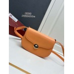 2025年4月27日入荷新作  loro piana  ghiera loro piana牛革8883# SIZE::23X16X8cm  /XX工場