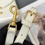 2025年4月27日入荷新作    CELINE  TEEN NINO    6632SQ SIZE:20.5*13*8cm  /XX工場