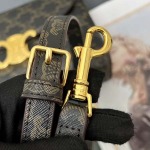 2025年4月27日入荷新作    CELINE  TEEN NINO    6632SQ SIZE:20.5*13*8cm  /XX工場