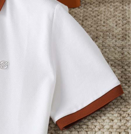 2025年5月16日入荷新作ZEGNA半袖 Tシャツ高品質/人気/誕生日プレゼント/bst工場