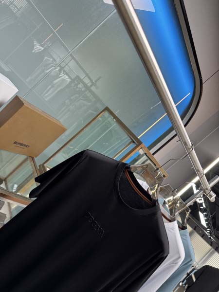 2025年5月21日入荷新作ZEGNA半袖Tシャツ 原版复刻高級品香港の会社超厳選★入手困難/誕生日プレゼント/yinx工場