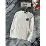2025年5月12日入荷新作loewe長袖 Tシャツ安価で人気のS-4XL/JIA工場