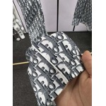 2025年5月20日入荷新作Dior セット上下 原版复刻高級品香港の会社超厳選★入手困難/誕生日プレゼント/yinx工場46-52