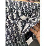 2025年5月20日入荷新作Dior セット上下 原版复刻高級品香港の会社超厳選★入手困難/誕生日プレゼント/yinx工場46-52