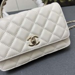 2025年5月28日入荷新作 新品 Chanel  SIZE:19.5cmお安い/人気/本革 バッグ/XX工場