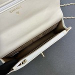 2025年5月28日入荷新作 新品 Chanel  SIZE:19.5cmお安い/人気/本革 バッグ/XX工場